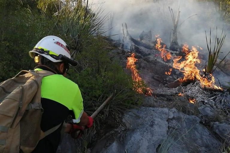 Incendio forestal en el Cerro del Fraile por presunta caída de rayo